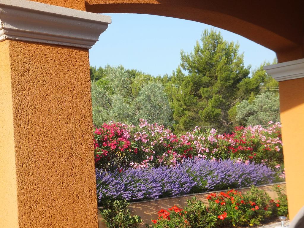 Les Lavandes Bed and Breakfast Alleins Εξωτερικό φωτογραφία