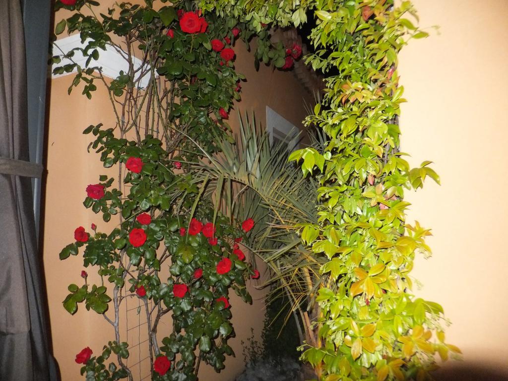 Les Lavandes Bed and Breakfast Alleins Δωμάτιο φωτογραφία