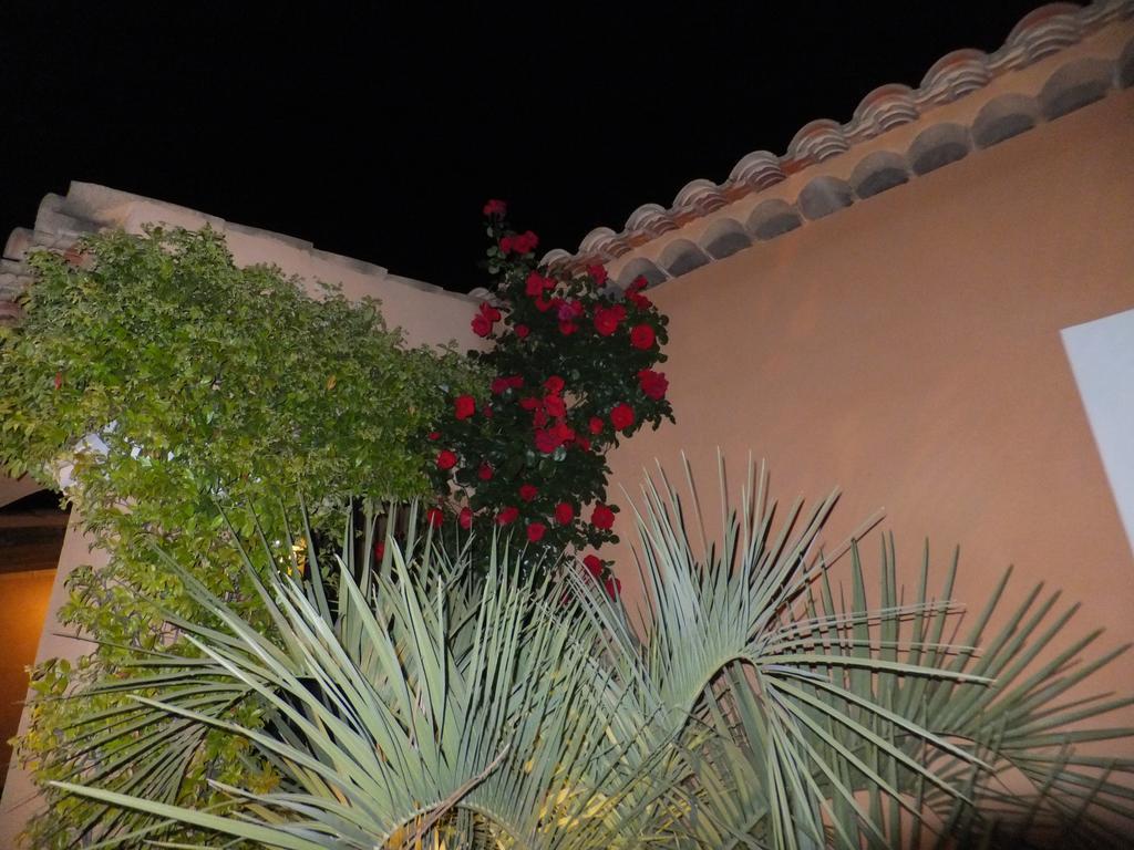 Les Lavandes Bed and Breakfast Alleins Εξωτερικό φωτογραφία